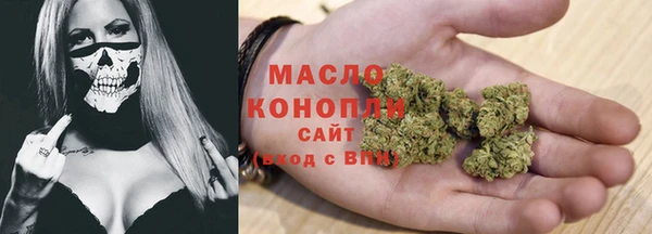 СК Алексин