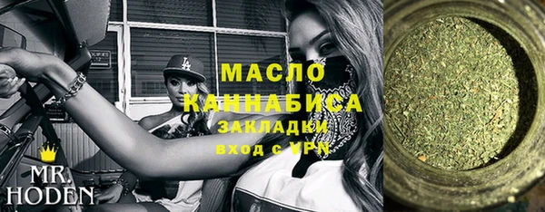 СК Алексин