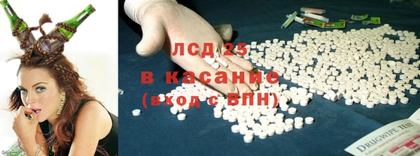 СК Алексин