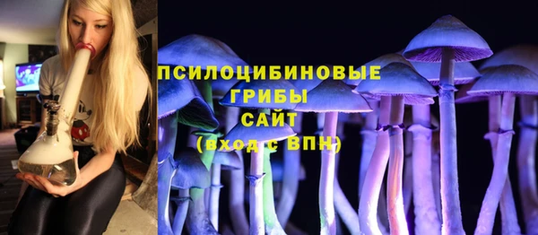 СК Алексин