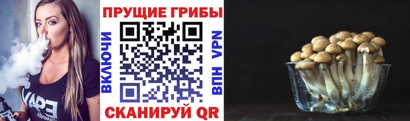 Галлюциногенные грибы прущие грибы  где можно купить   Бабаево 